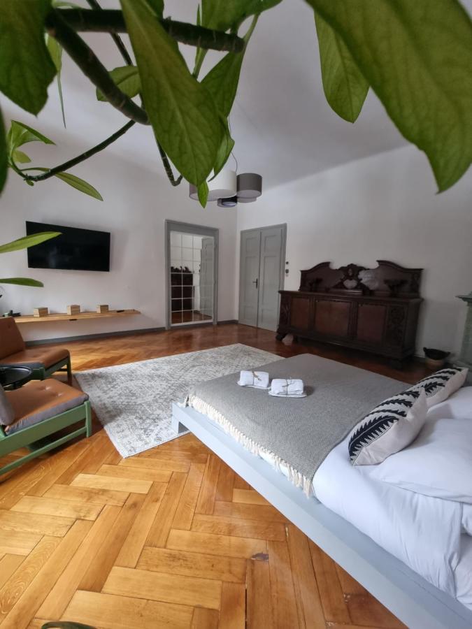 Cuba Daire Braşov Dış mekan fotoğraf